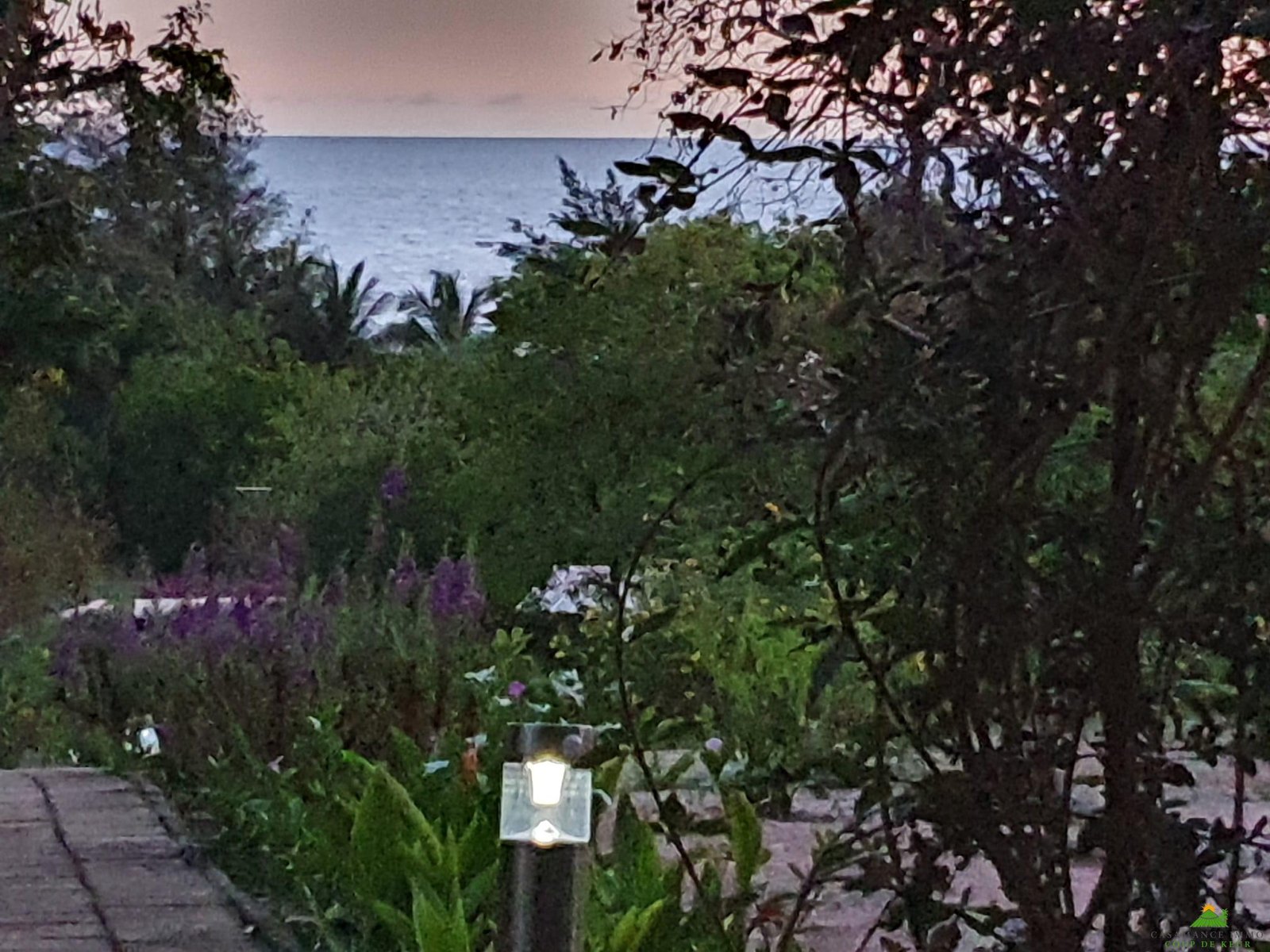 WhatsApp Image 2025-02-16 à 13.36.48_0f745e53