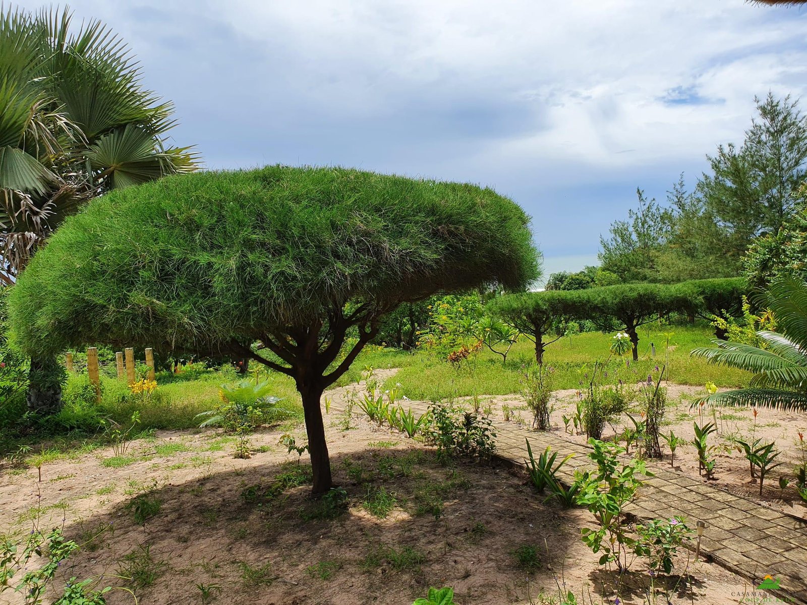 WhatsApp Image 2025-02-16 à 13.36.48_397826a1