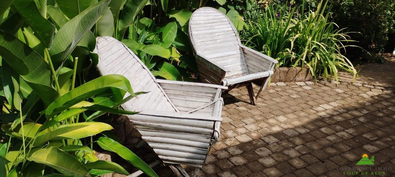 WhatsApp Image 2025-02-12 à 20.38.57_b5a26242