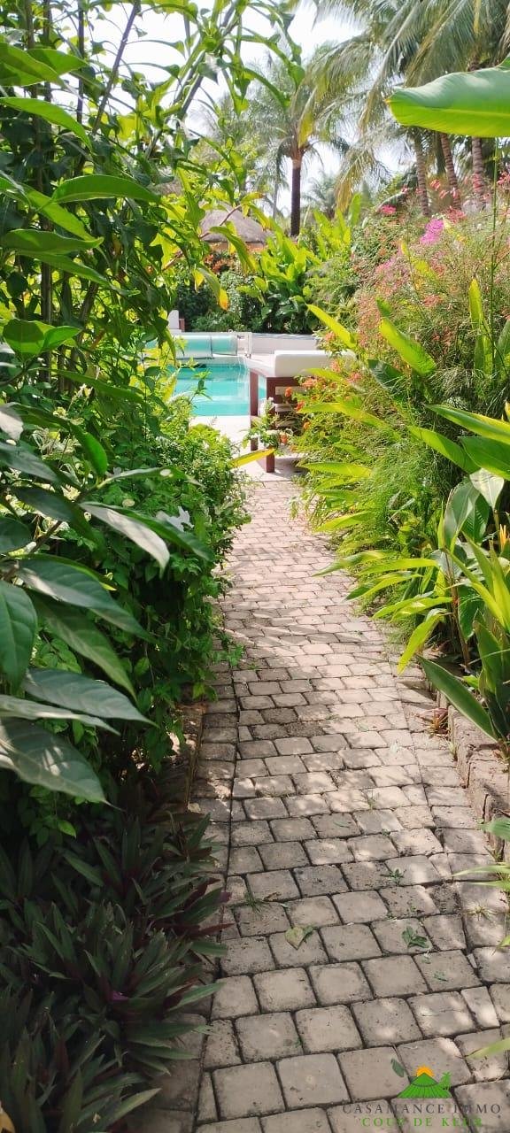 WhatsApp Image 2025-02-12 à 20.38.57_e8cc4eab