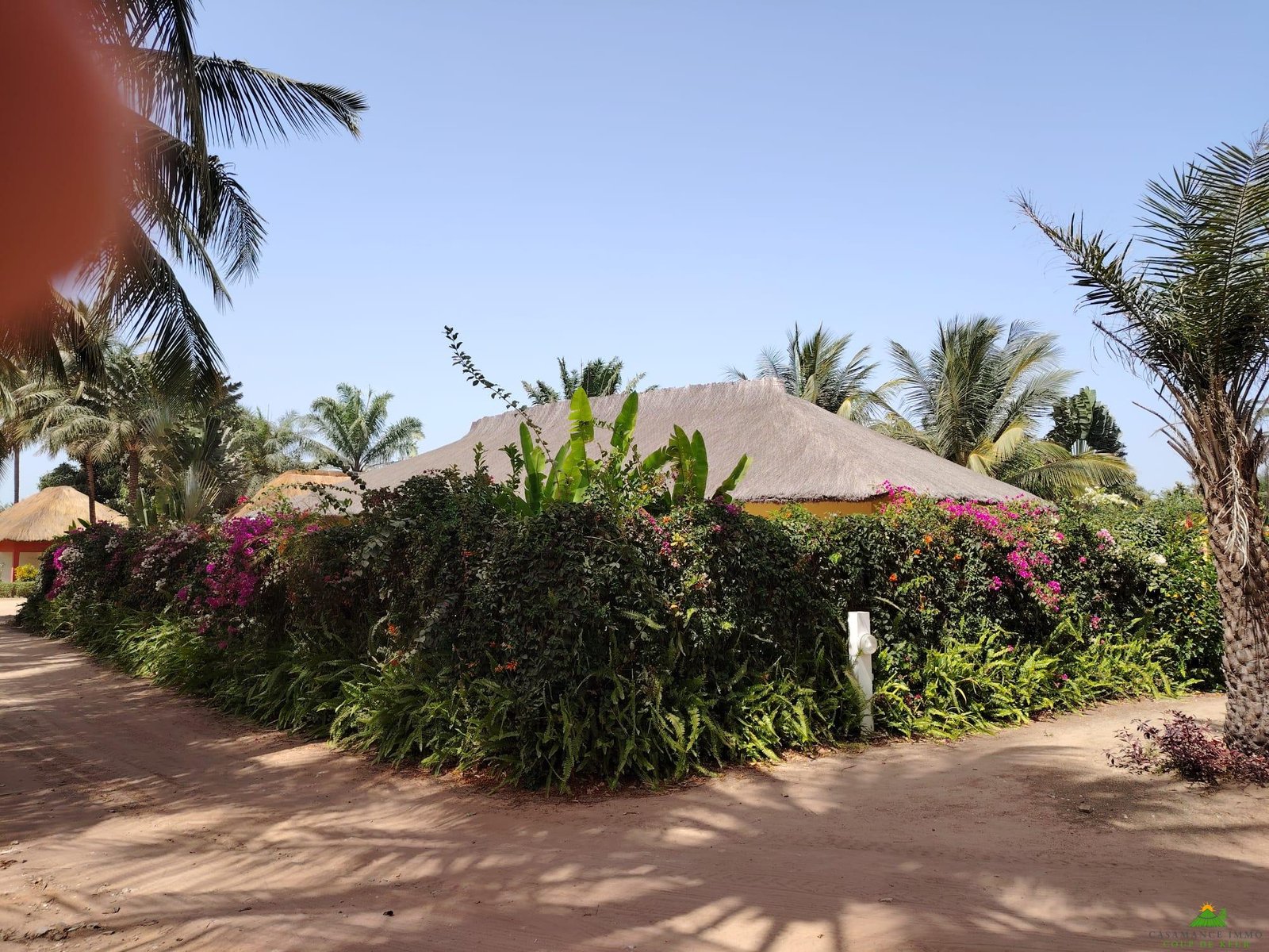 WhatsApp Image 2025-03-24 à 07.27.20_fbb1fe7d