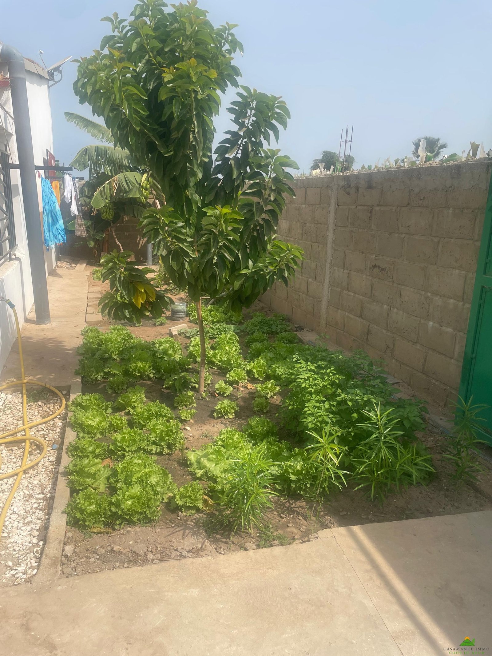 WhatsApp Image 2025-03-03 à 11.59.33_40dfa6de