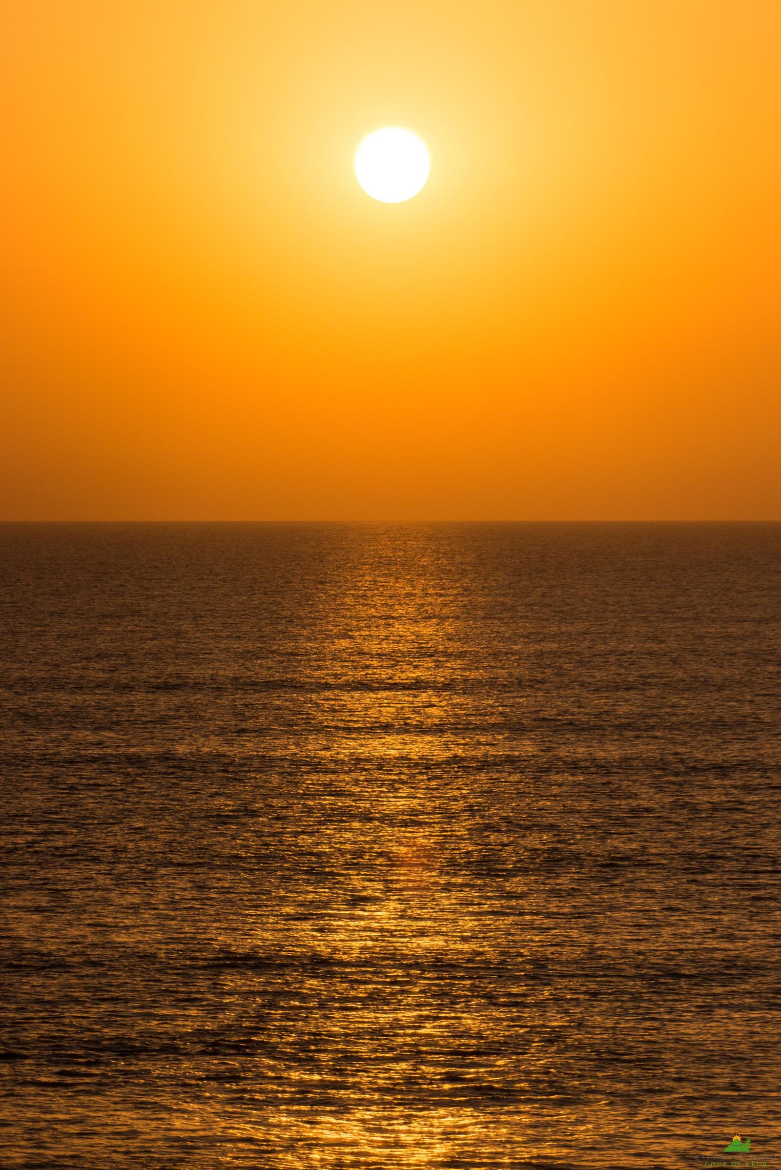 004_DSC_0445