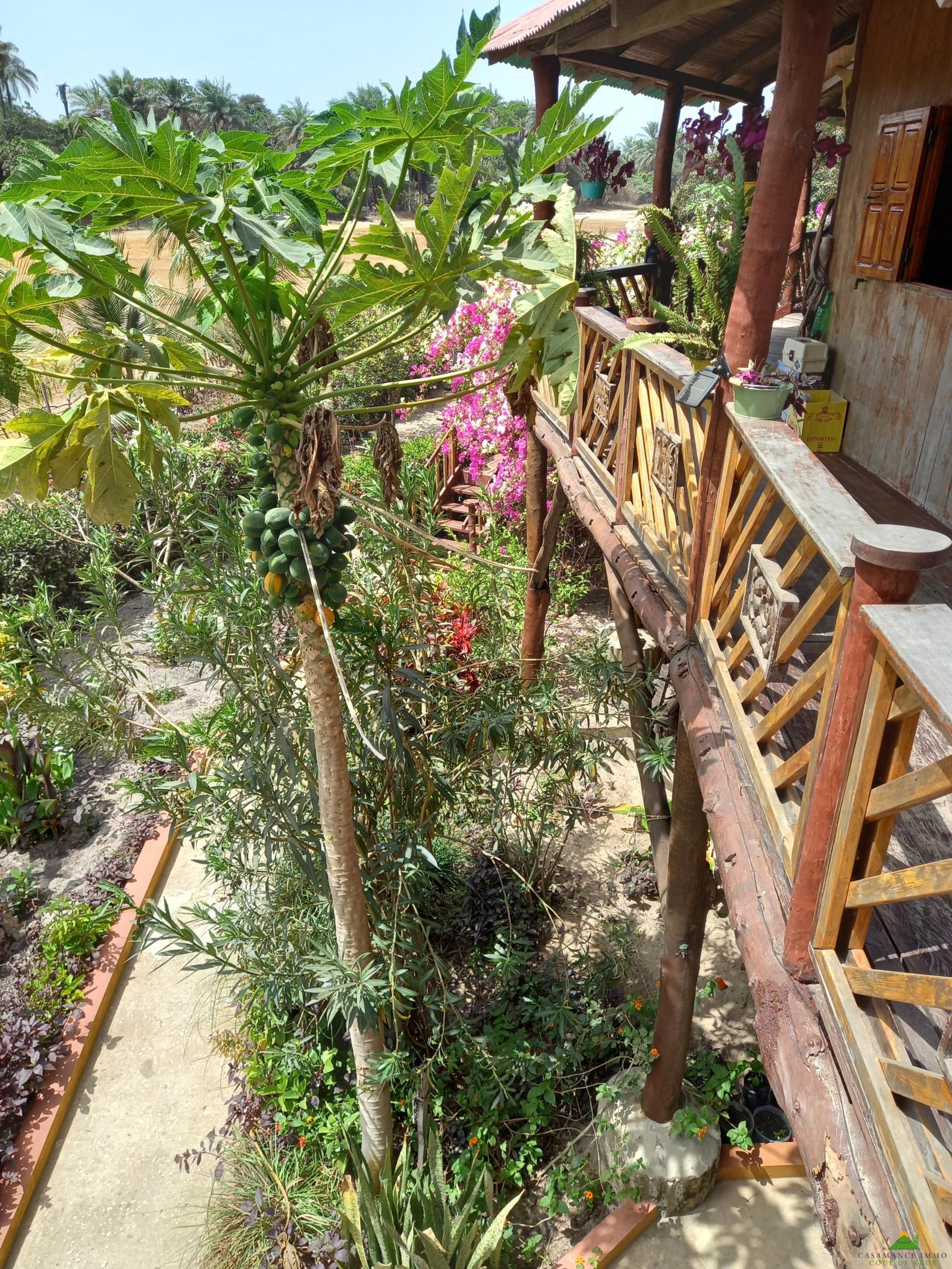 20230405_113256 – Copie