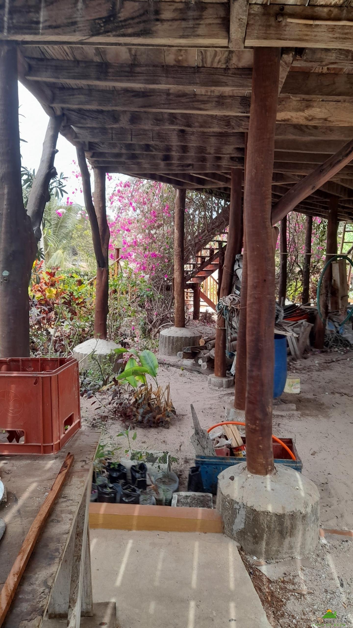 20230611_130557 – Copie