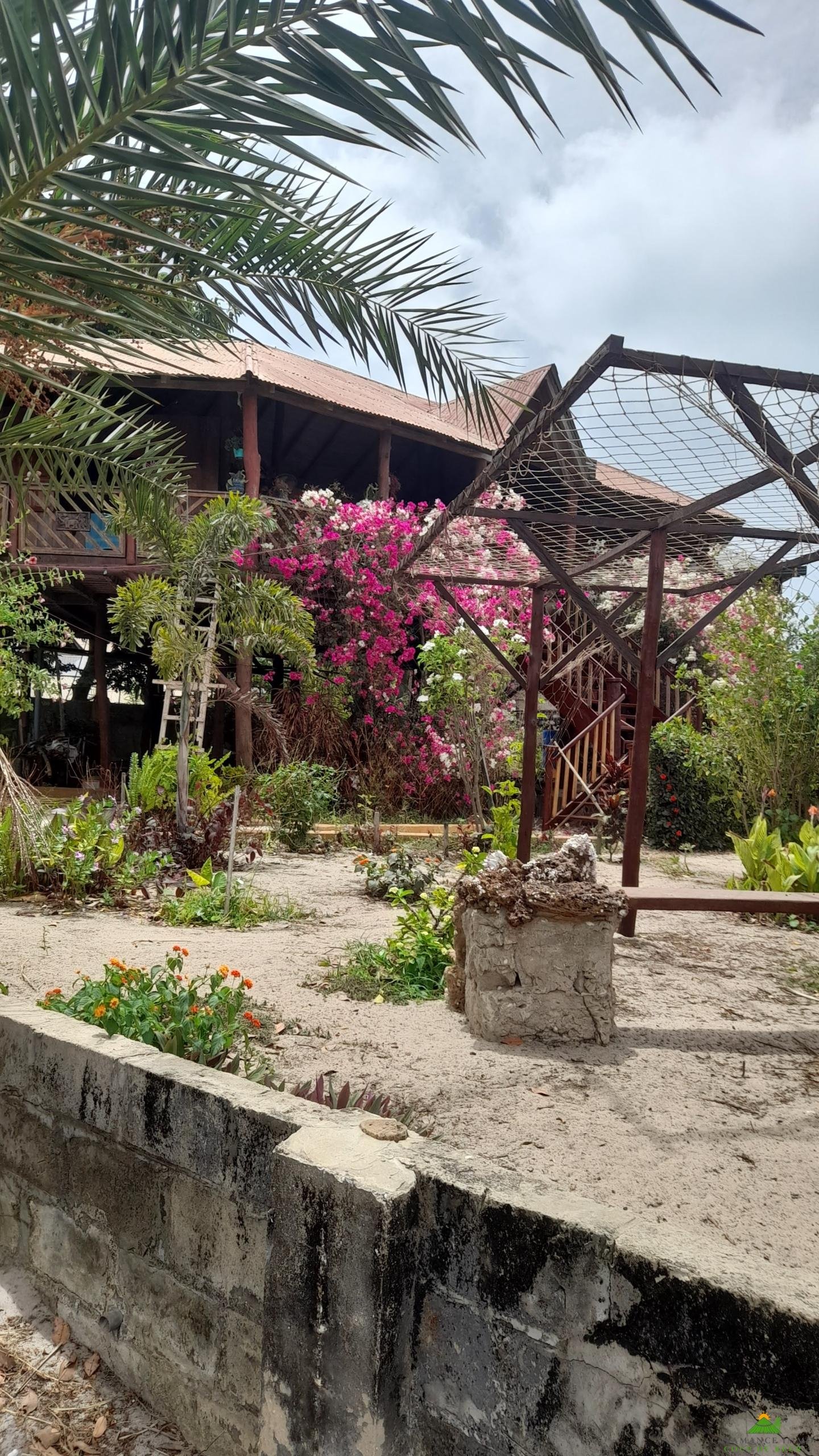 20230611_130832 – Copie