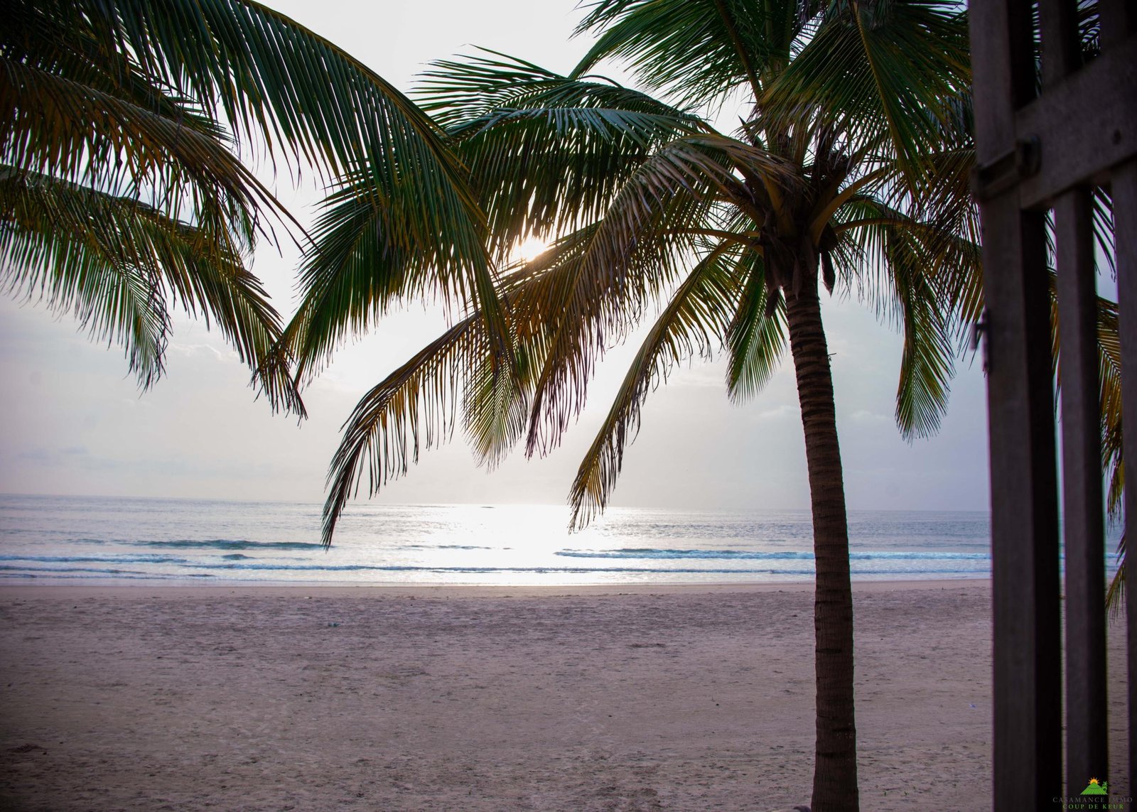 PRI_9376 – Copie – Copie