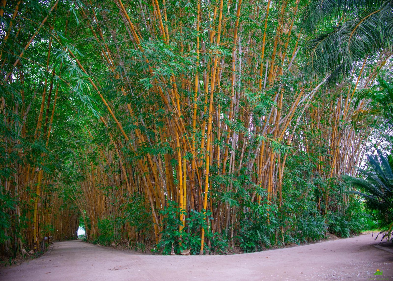 PRI_9410 – Copie (2)