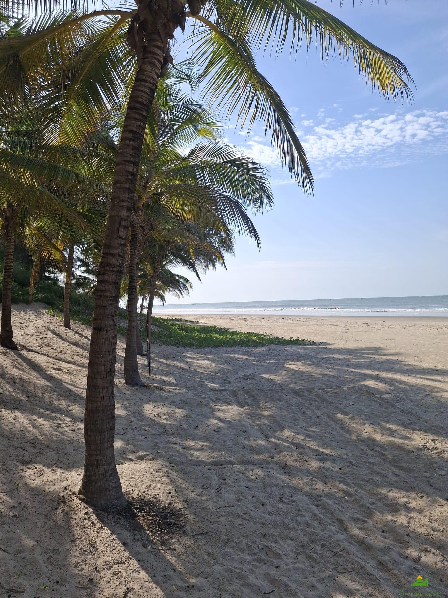 WhatsApp Image 2025-11-14 à 10.47.54_632dfac8