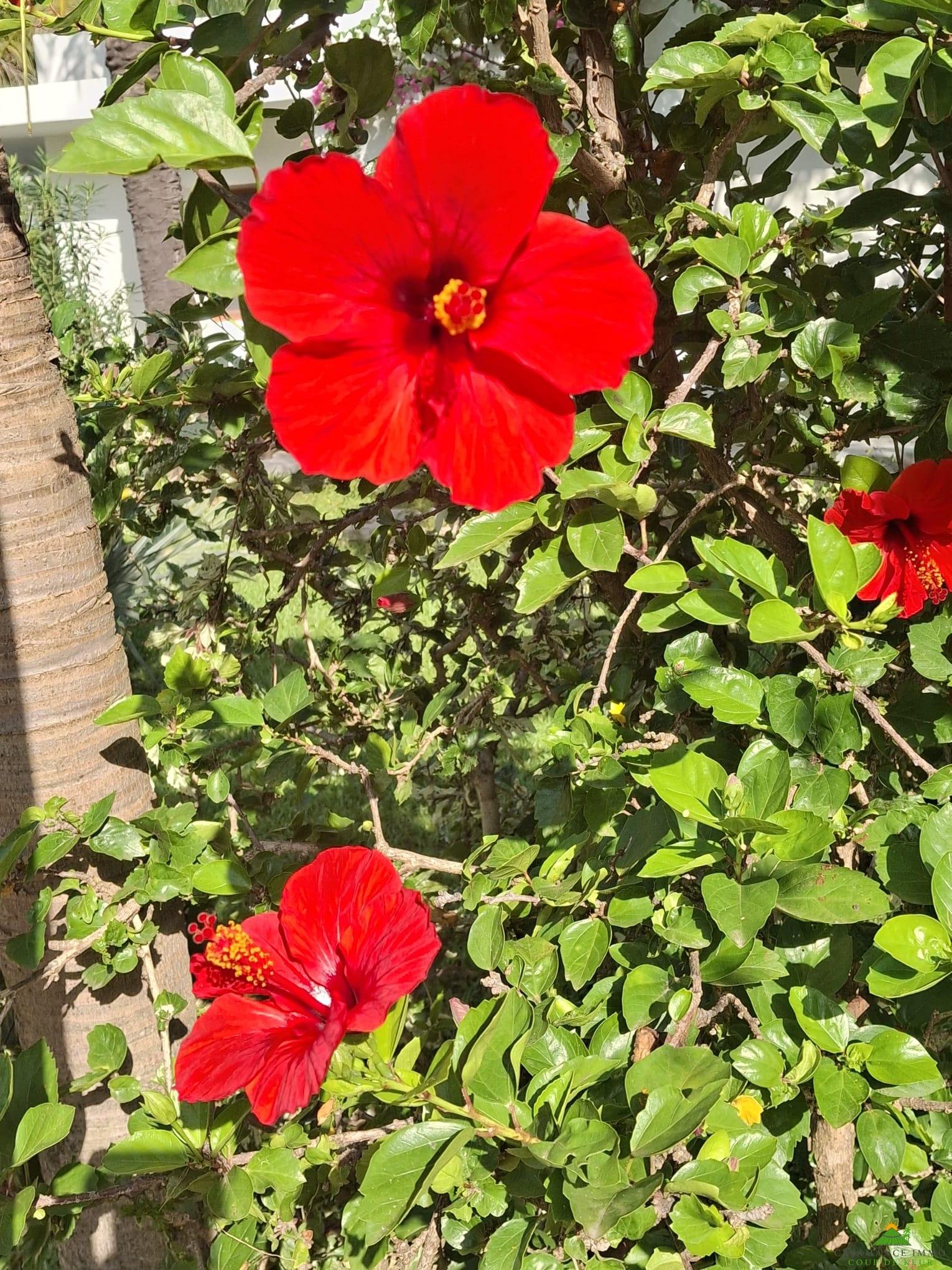 WhatsApp Image 2025-11-14 à 10.47.55_4d1afd2d