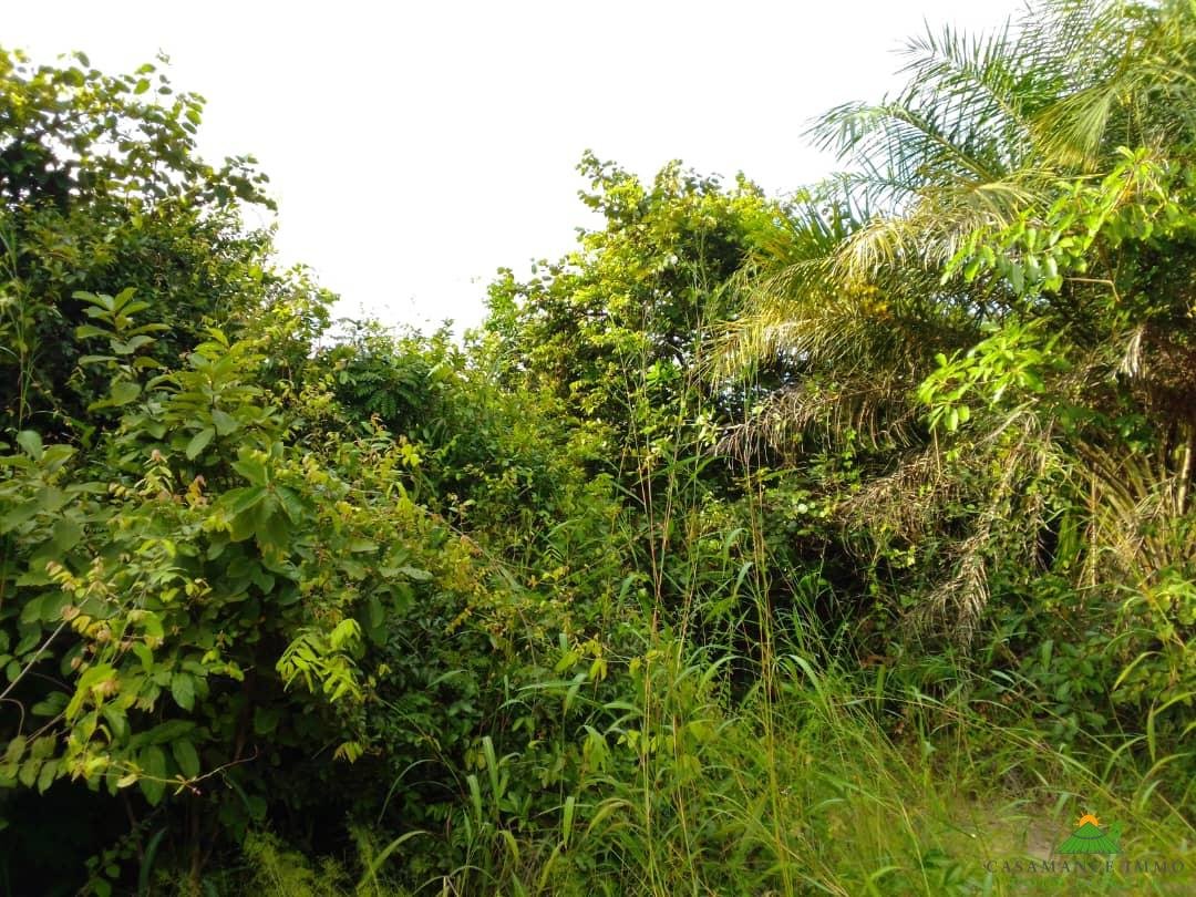 WhatsApp Image 2025-11-14 à 11.19.18_c5e21f8f