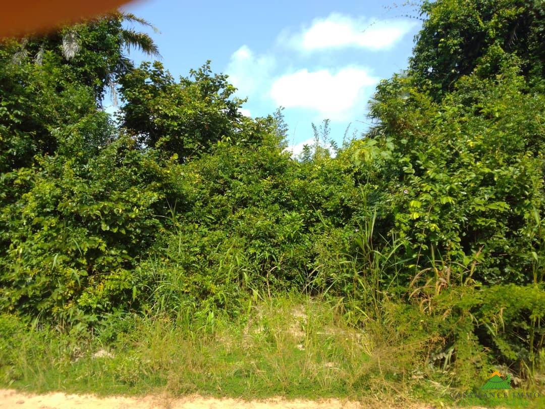 WhatsApp Image 2025-11-14 à 11.19.19_2208f5ae