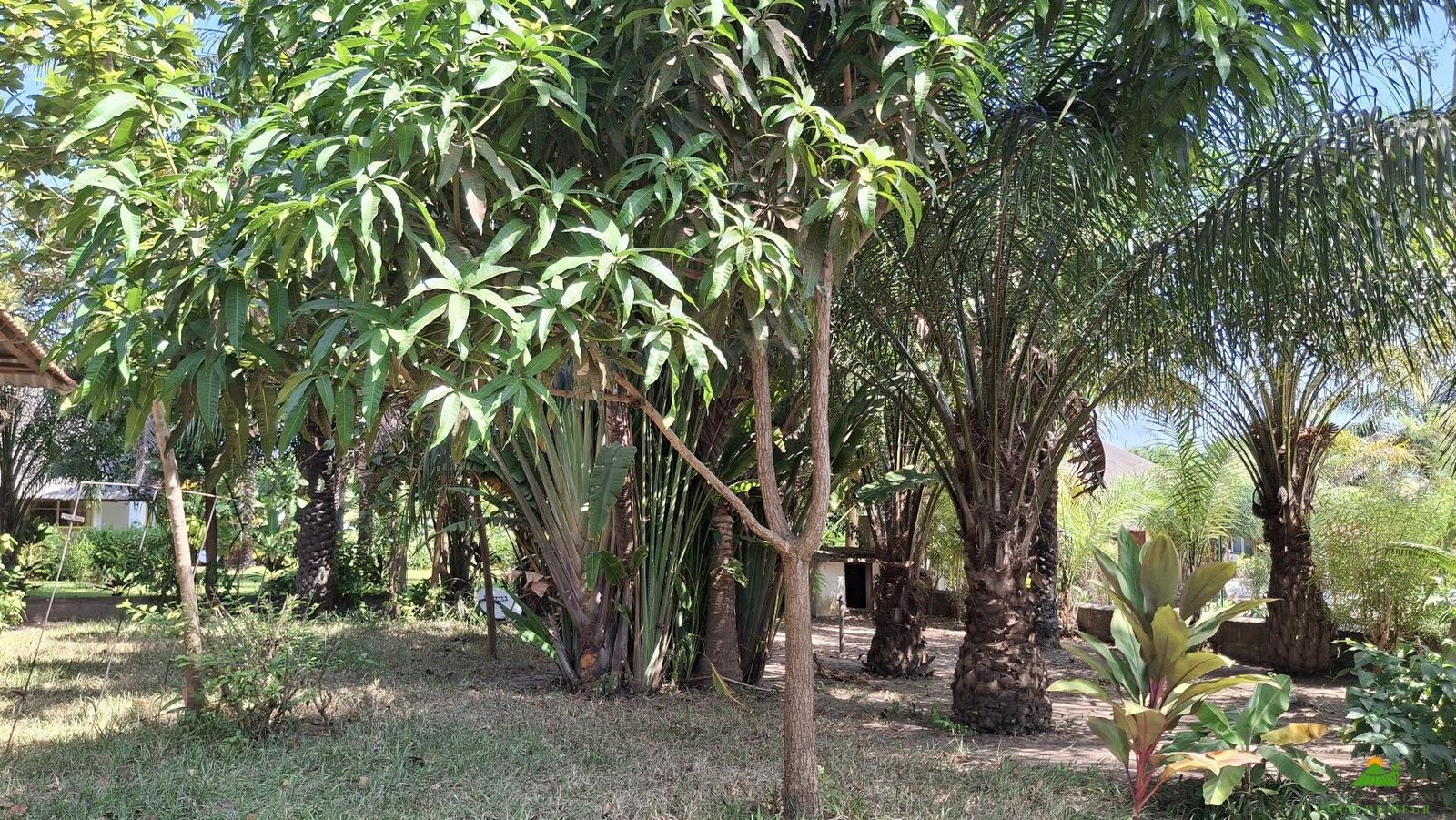 20251210_132826 – Copie (2) – Copie