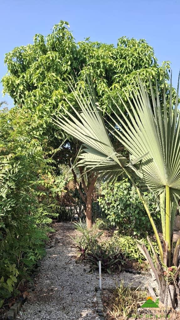 351e2cc7-239e-4199-a1d2-df4a706326c6