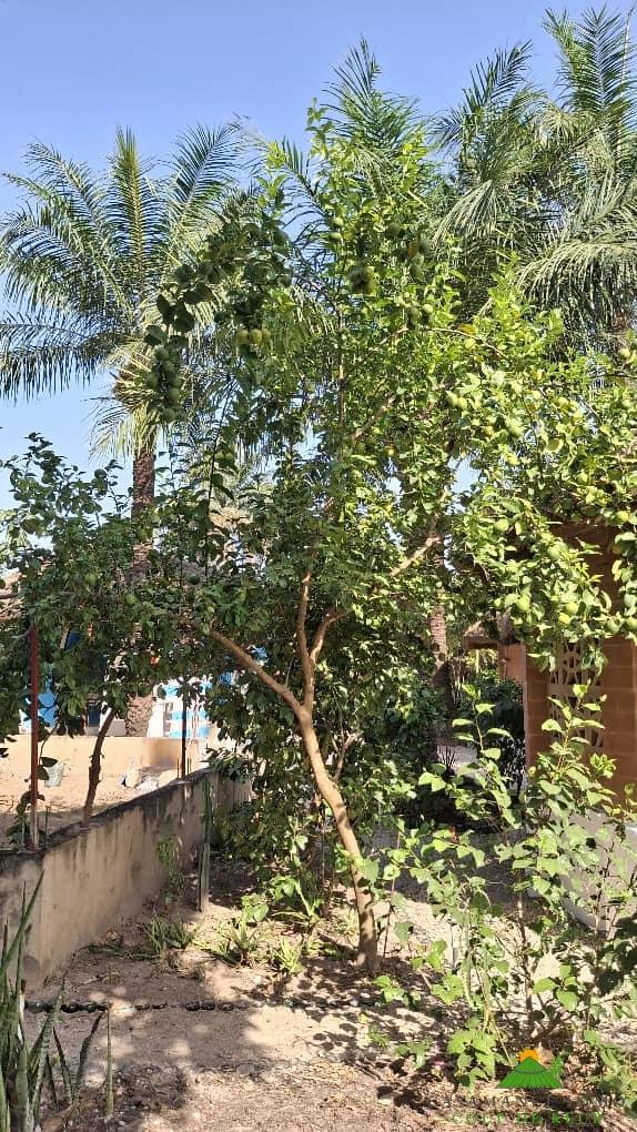 775deda8-3c48-4ecd-959b-87d46041ce32