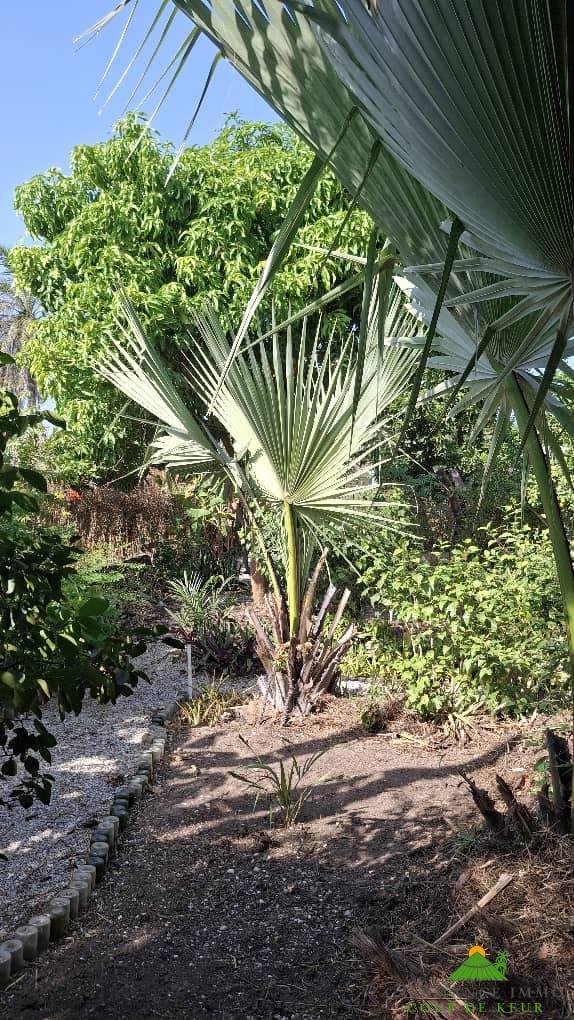 f2810d6b-613f-4bf7-bd2e-9ca9d2a26d94