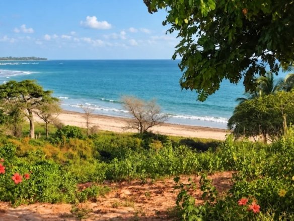 Une opportunité très rare : un terrain d’exception de 6 241 m² en front de mer  , dominant au premier rang  la magnifique baie de Boucotte, dans le prolongement naturel du Cap Skirring