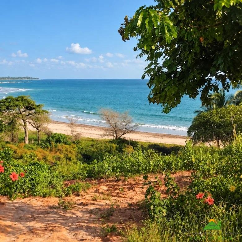 Une opportunité très rare : un terrain d’exception de 6 241 m² en front de mer  , dominant au premier rang  la magnifique baie de Boucotte, dans le prolongement naturel du Cap Skirring