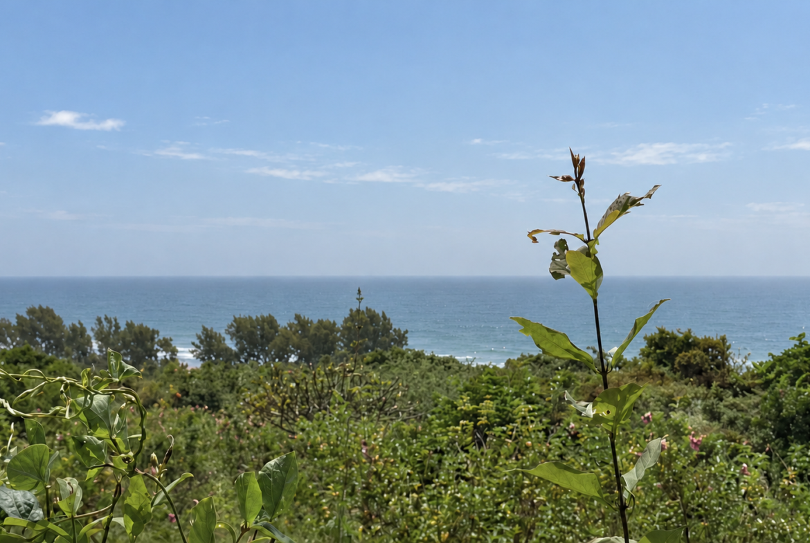 Une opportunité rare pour des investisseurs souhaitant développer un projet dans un environnement naturel privilégié.Un véritable jardin d’Éden en bordure d’océan, à Boucotte