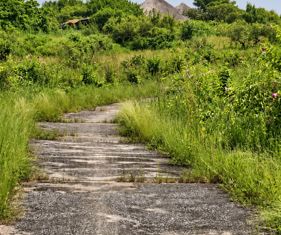 Une opportunité rare pour des investisseurs souhaitant développer un projet dans un environnement naturel privilégié.Un véritable jardin d’Éden en bordure d’océan, à Boucotte