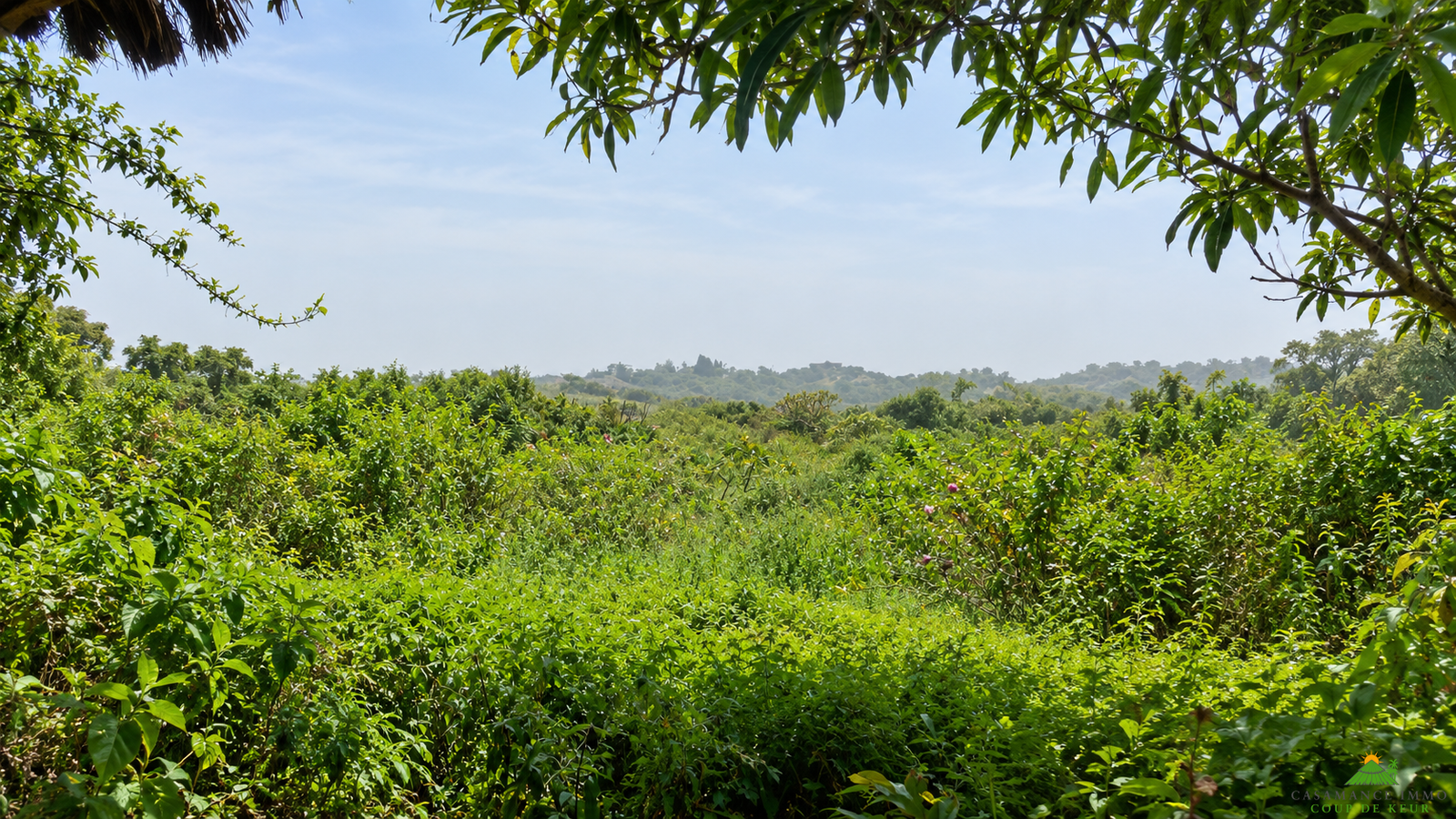 Une opportunité rare pour des investisseurs souhaitant développer un projet dans un environnement naturel privilégié.Un véritable jardin d’Éden en bordure d’océan, à Boucotte