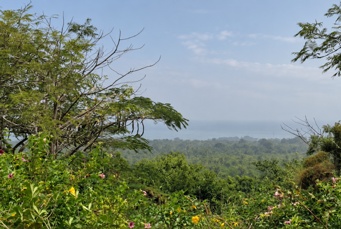 Une opportunité rare pour des investisseurs souhaitant développer un projet dans un environnement naturel privilégié.Un véritable jardin d’Éden en bordure d’océan, à Boucotte