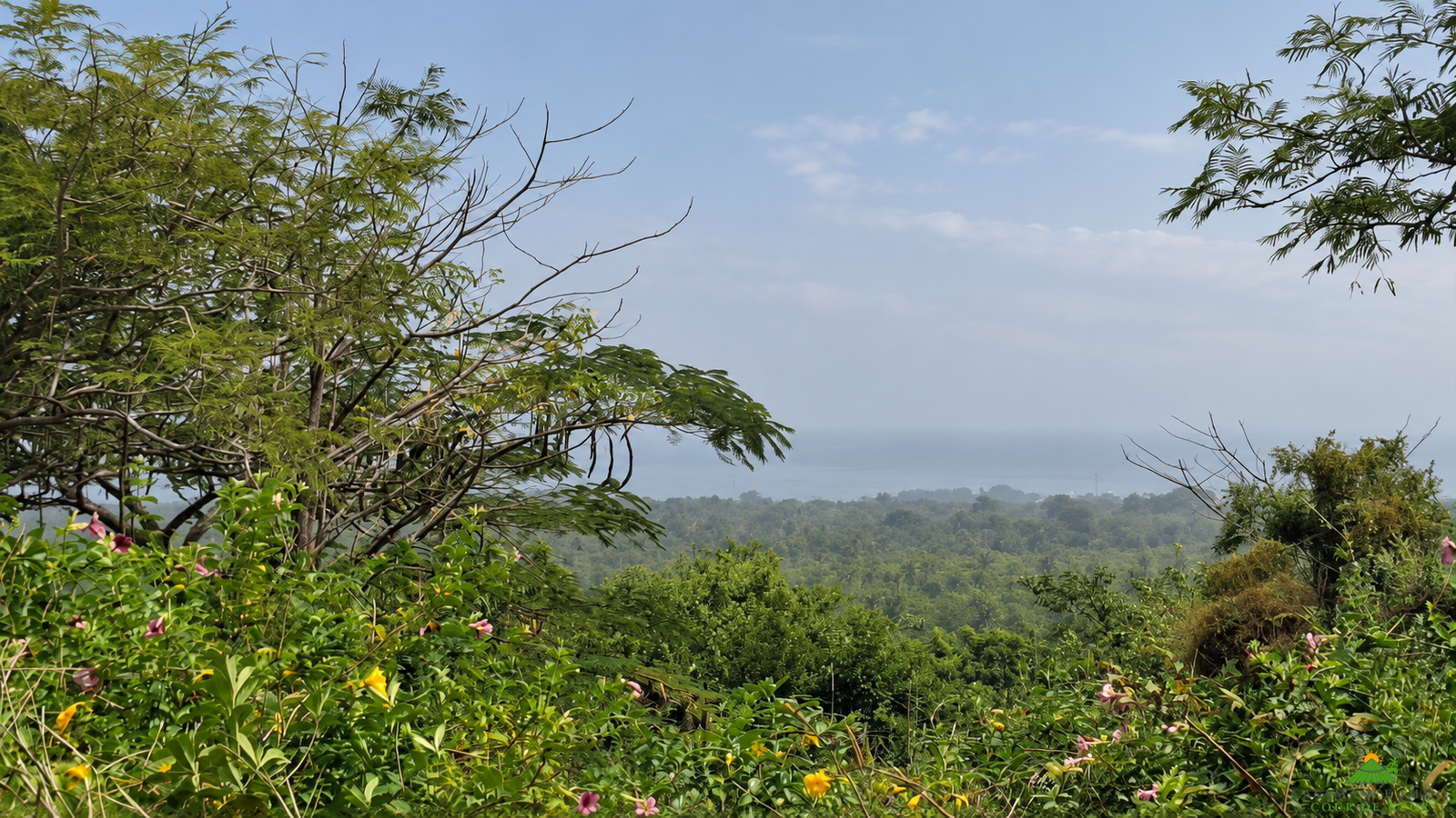 Une opportunité rare pour des investisseurs souhaitant développer un projet dans un environnement naturel privilégié.Un véritable jardin d’Éden en bordure d’océan, à Boucotte
