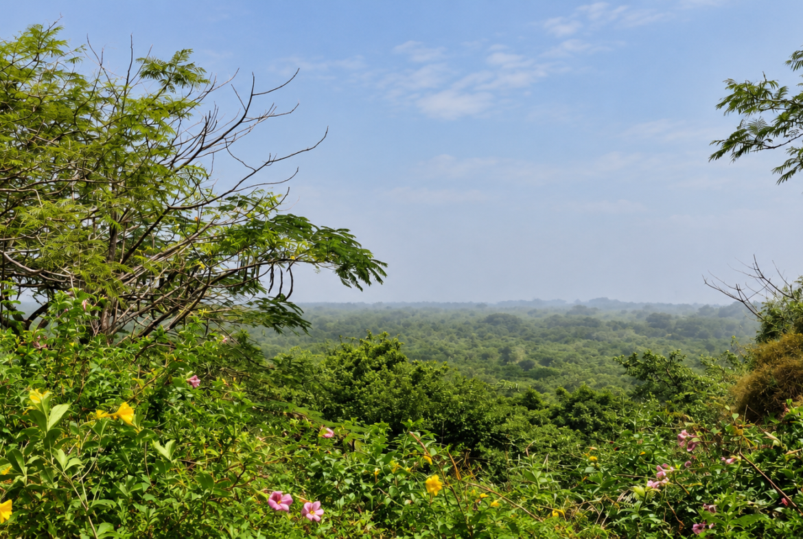 Une opportunité rare pour des investisseurs souhaitant développer un projet dans un environnement naturel privilégié.Un véritable jardin d’Éden en bordure d’océan, à Boucotte
