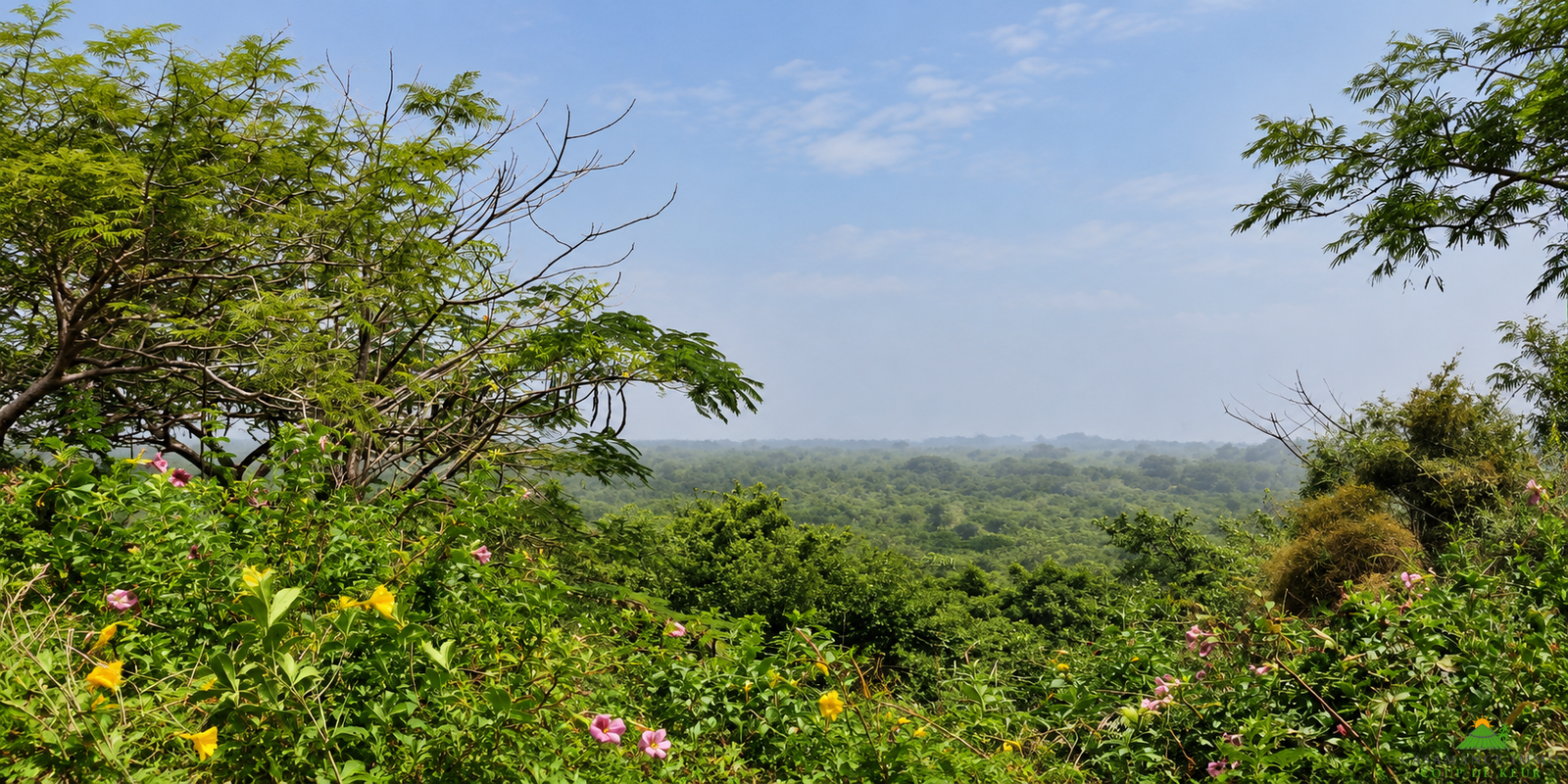 Une opportunité rare pour des investisseurs souhaitant développer un projet dans un environnement naturel privilégié.Un véritable jardin d’Éden en bordure d’océan, à Boucotte