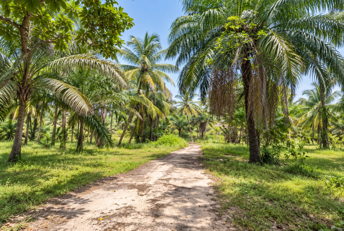 Une opportunité rare pour des investisseurs souhaitant développer un projet dans un environnement naturel privilégié.Un véritable jardin d’Éden en bordure d’océan, à Boucotte